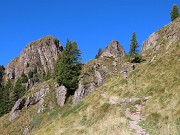15 In decisa salita